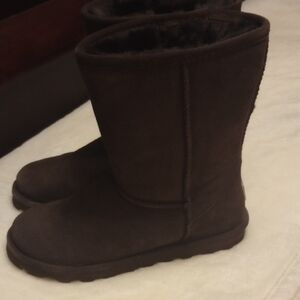 Bear paw Boots